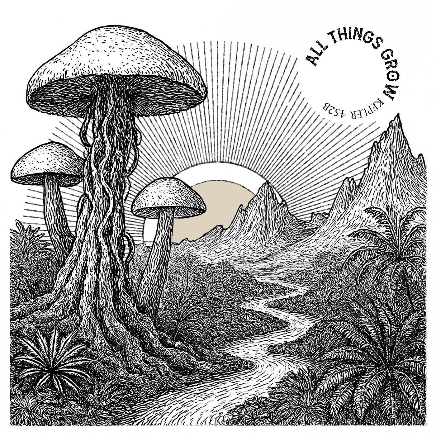 All things grow 专辑封面